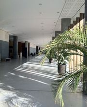 Gimalac Laurent image 3