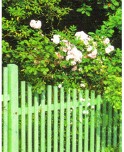 Christian Weimer e.K. Bild 7