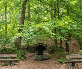 FriedWald Weilrod Bild 9