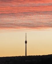 Thilo Rose Immobilien Bild 4