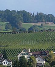 Weingut Hasenhalde Bild 1