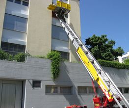 Kummer Transporte Bild 4