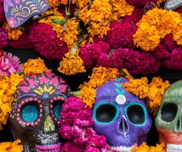 MIQUIZTLI - Cocina mexicana Bild 4