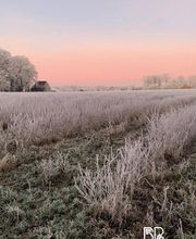 Biohof Beckerwerth Bild 3