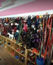 Gallery Cliente