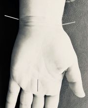 Naturheilpraxis Schaefer Bild 4