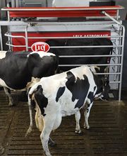 Lely Center Robotique Elevage SARL image 2