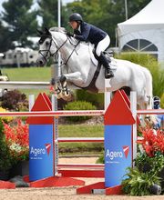 Silver Oak Jumper Tournament image 9