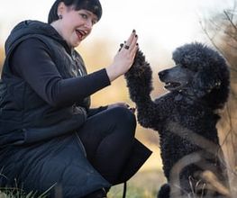 Hundeschule Tanja Kaiser Bild 2