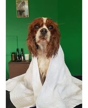 Baker Street image 5