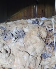 Sos Antinuisibles 54 image 12