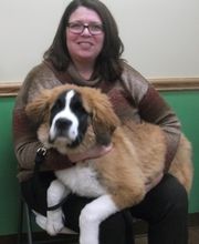 Western Reserve Animal Clinic image 11