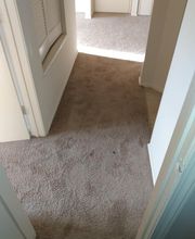 May's Carpet Cleaning image 14