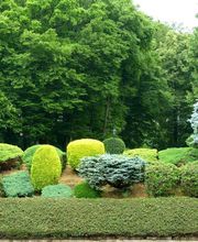 Baumpflege Oliver Schäfer Bild 6