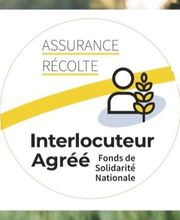 Abeille Assurances Nicolas Minart image 2