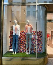 Falconeri immagine 1