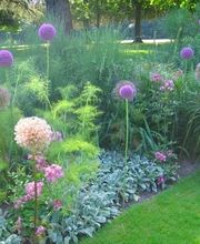 Fuchs Magali image 8