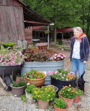 Paradise Park image 1