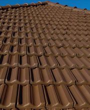 Rouillard Isaïe image 5