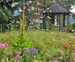 Gartenumänderung Region Basel
