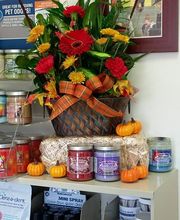 Saint Thomas Veterinary Center image 13