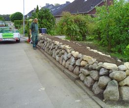 Baum und Garten Jörg Naggatz Bild 5
