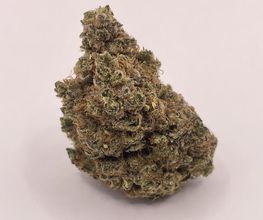 Green Budd CBD Pontchâteau image 15