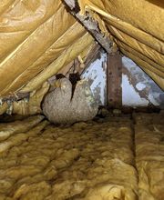 KH Anti-Nuisibles 3D image 3