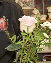 Au Fil des Saisons image 9