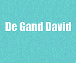 De Gand David image 1