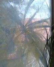 Creativ Design Malerbetrieb Bild 11