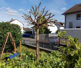 Schäfer Haus- und Gartenservice Bild 1