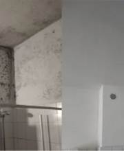 Jens-Peter Jansen, Meister und geprüfter Restaurator im Malerhandwerk Bild 9