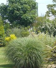 Bourbigot Paysages image 4