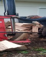 Elagage Pays Basque image 3