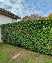 Gignoux Martin image 2