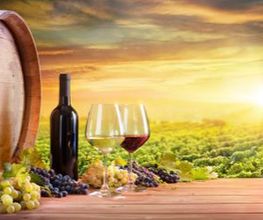 Weinhandel Monasteria e.K. Bild 1