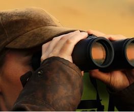 Optique Perret Bild 12