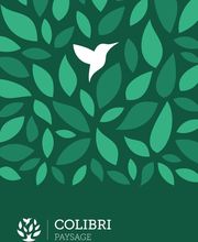 COLIBRI PAYSAGE image 2