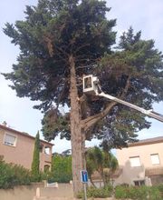 Elag'Frontignan image 2