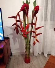 Un Jour, Une Fleur image 1