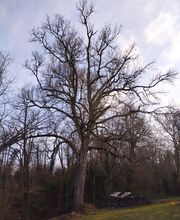 Beaudout Raphael image 15