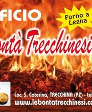 Gallery Professionale