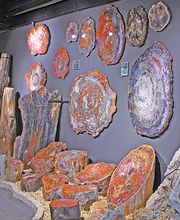 Welt der Kristalle Museum & Shop Bild 10