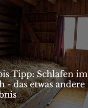 Gastro Ferrante Bild 4