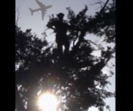 Arbor Ouest image 8