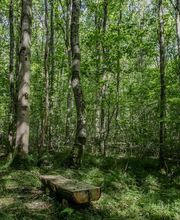 FriedWald Grevesmühlen Bild 8