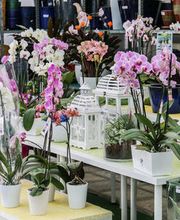 Gallery Professionale