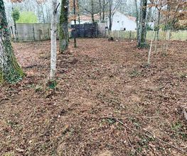 LR Garden image 11