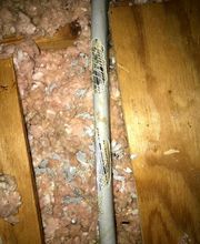 Peachtree Pest Control image 15
